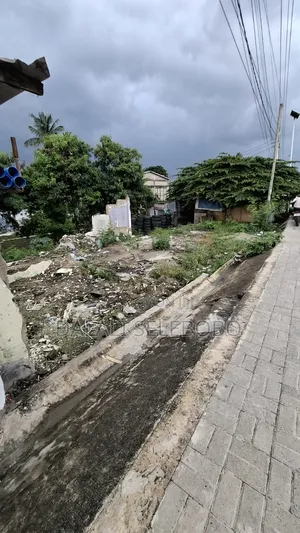 Busness Plot at Sinza Kwa Manyola Investment Area