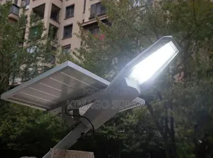 Enjoy Free Lighting Every Night Solar 300w