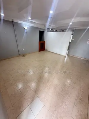 3bdrm Apartment in Sinza Mori for rent