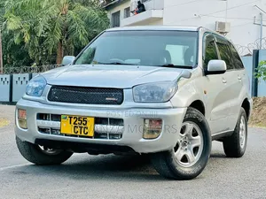 Toyota RAV4 2004 Silver