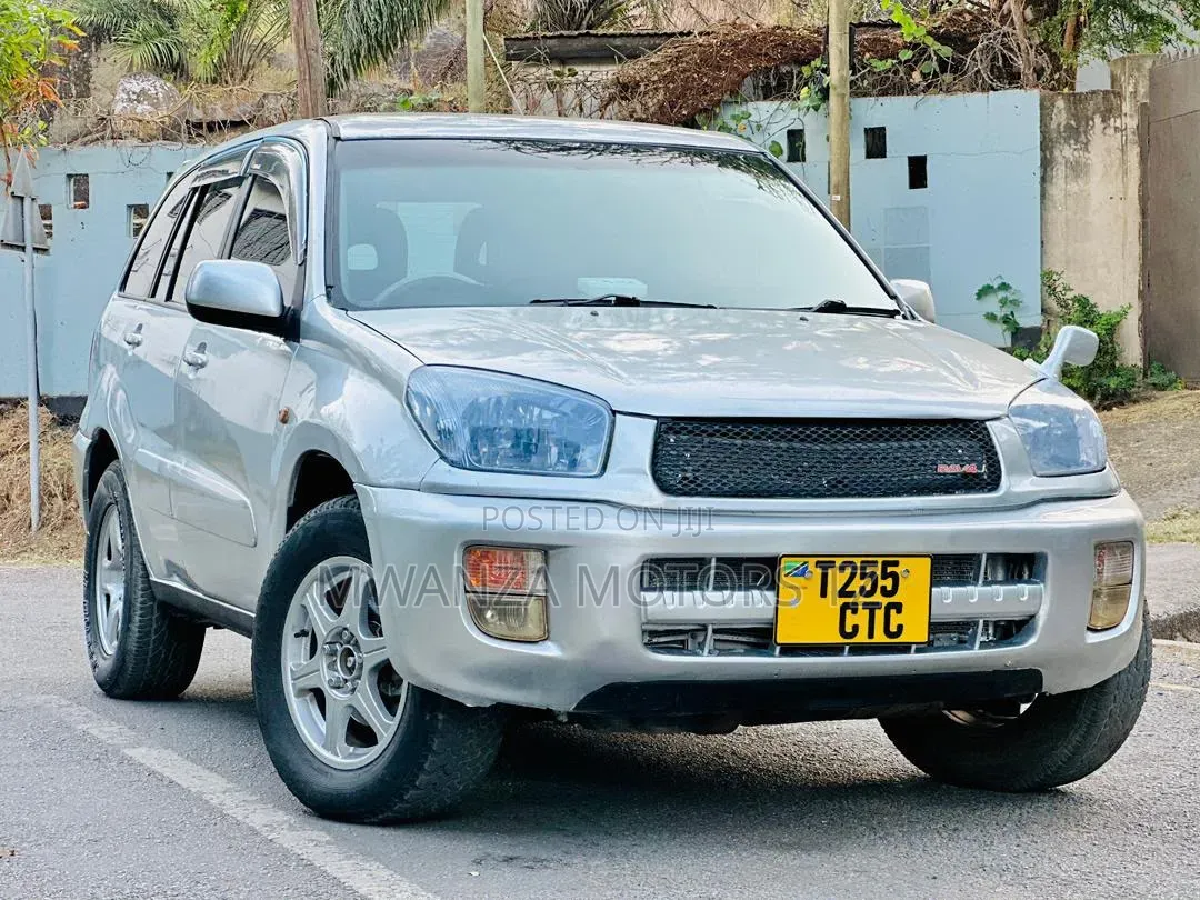 Toyota RAV4 2004 Silver