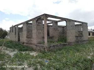 Pagale Linauzwa Milioni Gongolamboto Majohe Bwela.