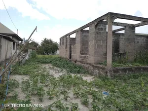Pagale Linauzwa Milioni Gongolamboto Majohe Bwela.