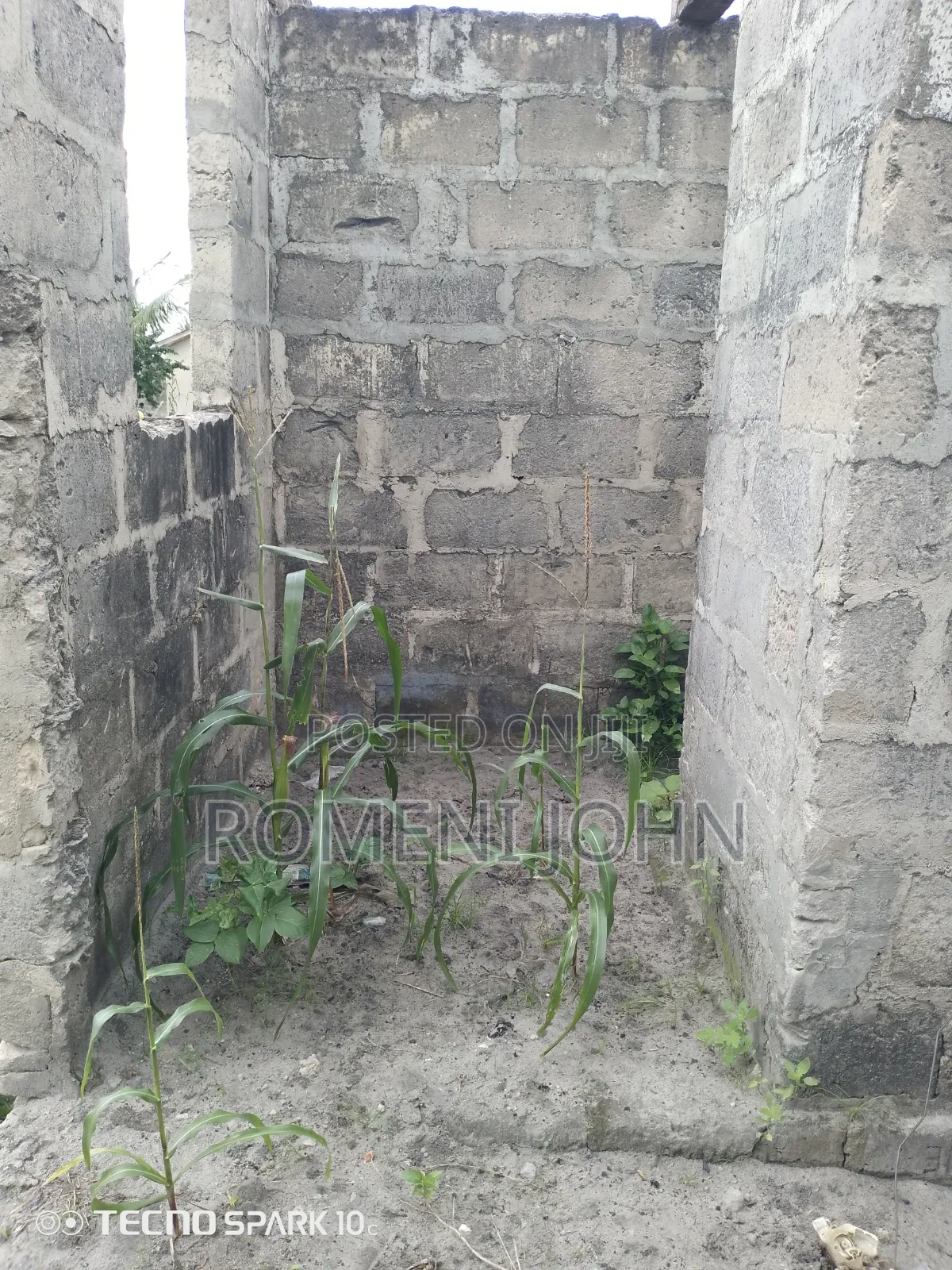 Pagale Linauzwa Milioni Gongolamboto Majohe Bwela.