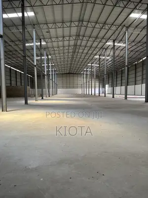 Mikocheni Warehouse