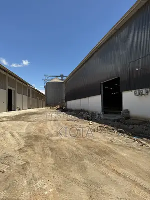 Mikocheni Warehouse