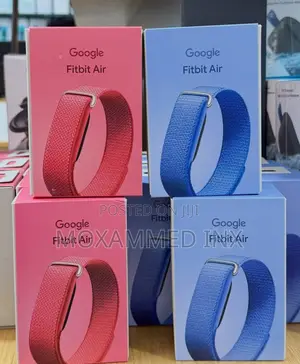 Google Fitbit Air
