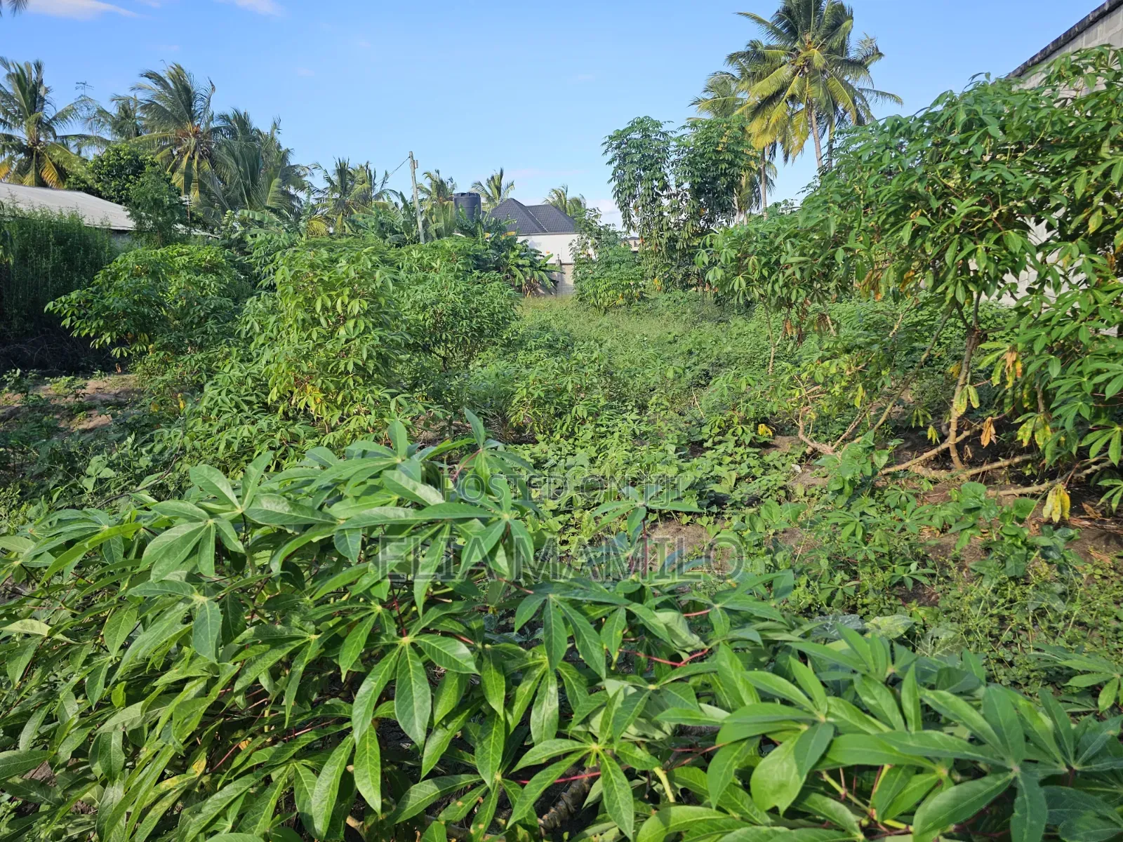 Plot for Sale, Kiwanja Kinauzwa Ungindoni, Kigamboni