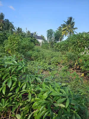 Plot for Sale, Kiwanja Kinauzwa Ungindoni, Kigamboni