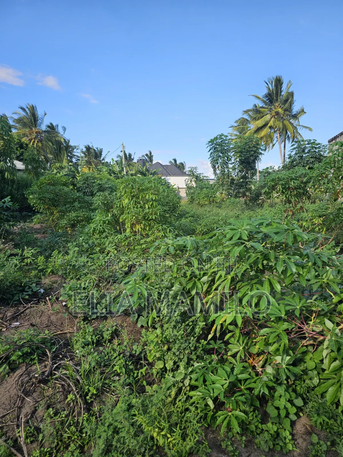 Plot for Sale, Kiwanja Kinauzwa Ungindoni, Kigamboni