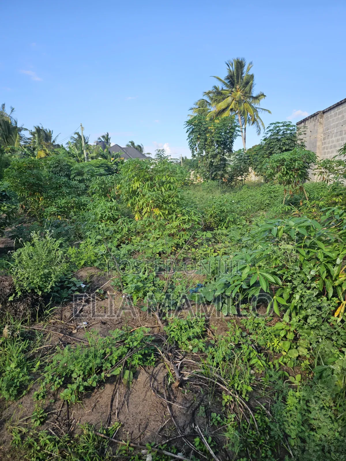 Plot for Sale, Kiwanja Kinauzwa Ungindoni, Kigamboni