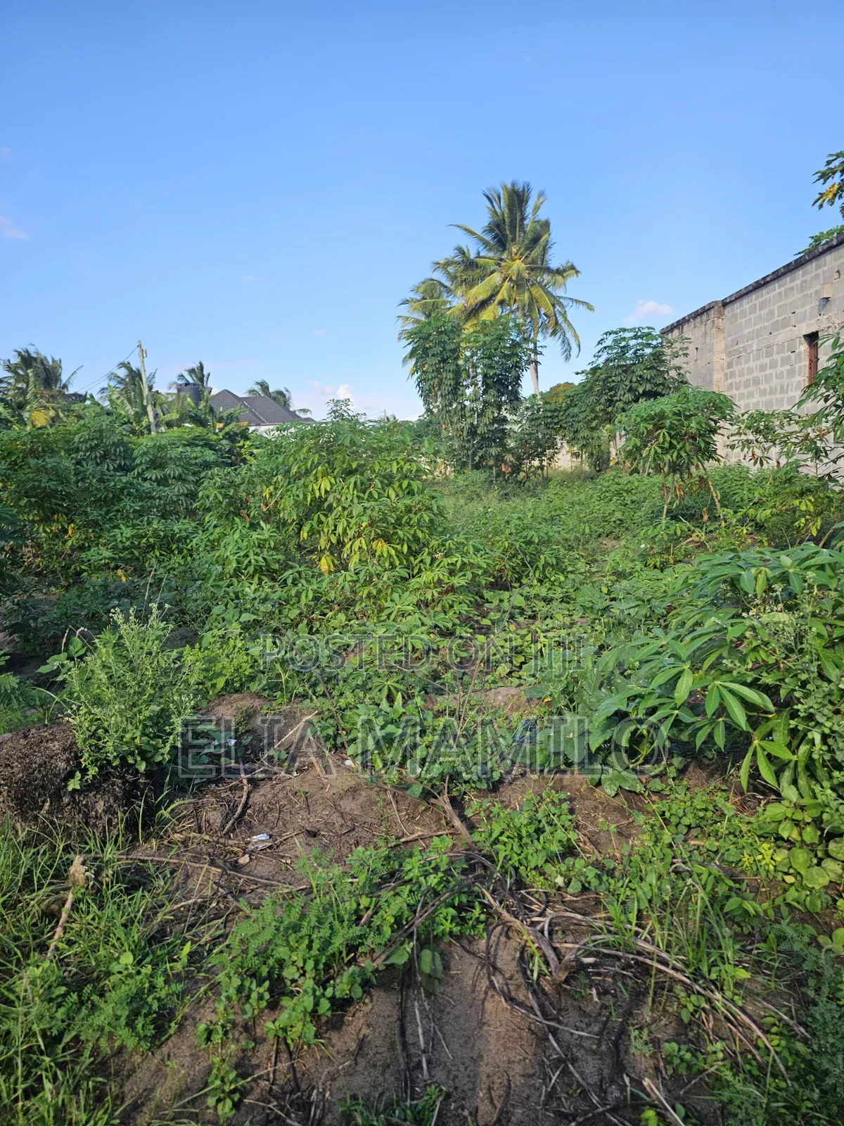 Plot for Sale, Kiwanja Kinauzwa Ungindoni, Kigamboni