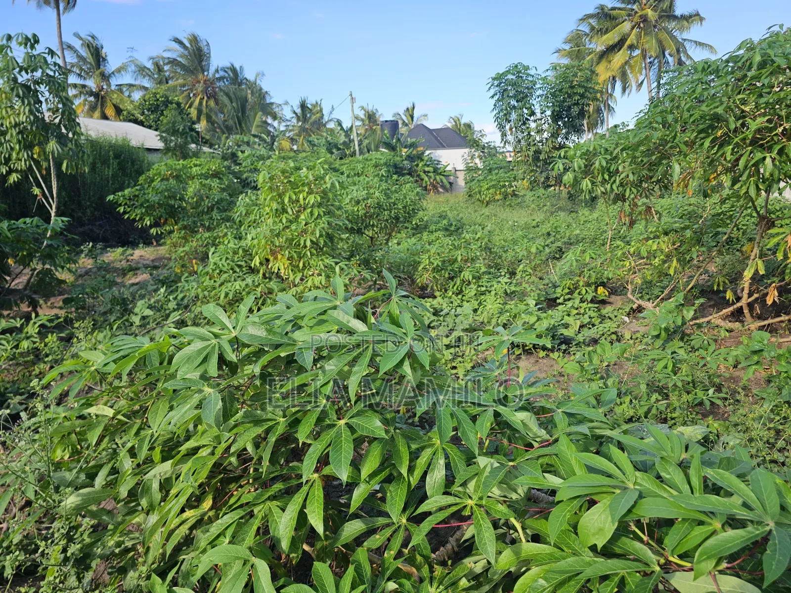 Plot for Sale, Kiwanja Kinauzwa Ungindoni, Kigamboni