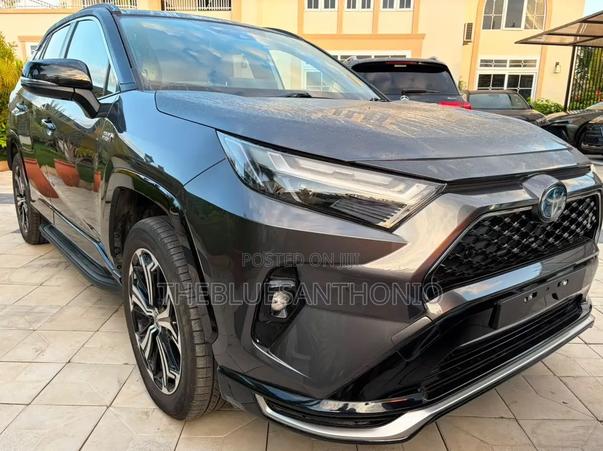 Toyota RAV4 Hybrid 2024 Gray