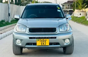 Toyota RAV4 2004 Gray