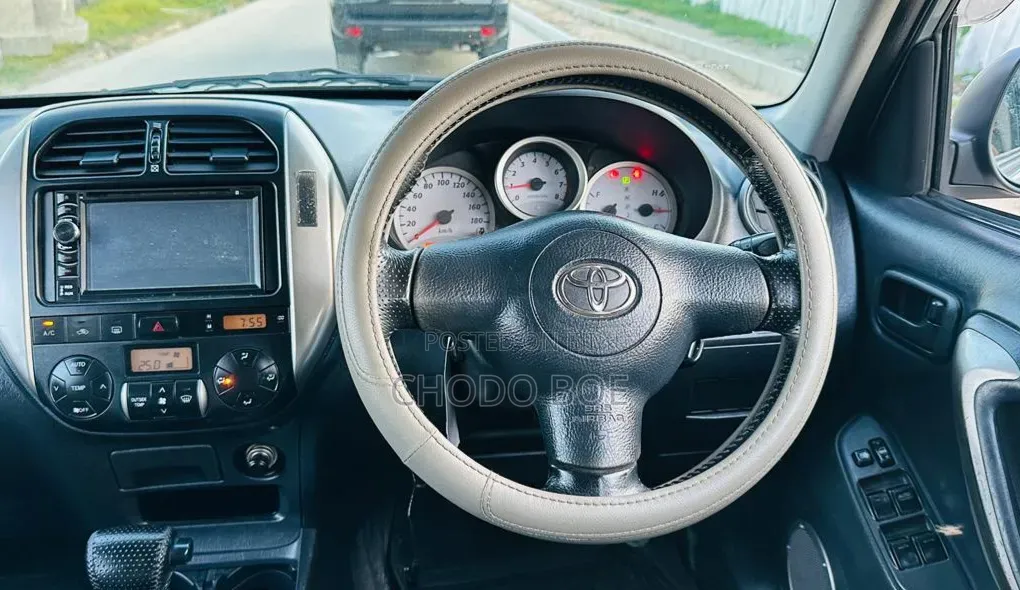 Toyota RAV4 2004 Gray