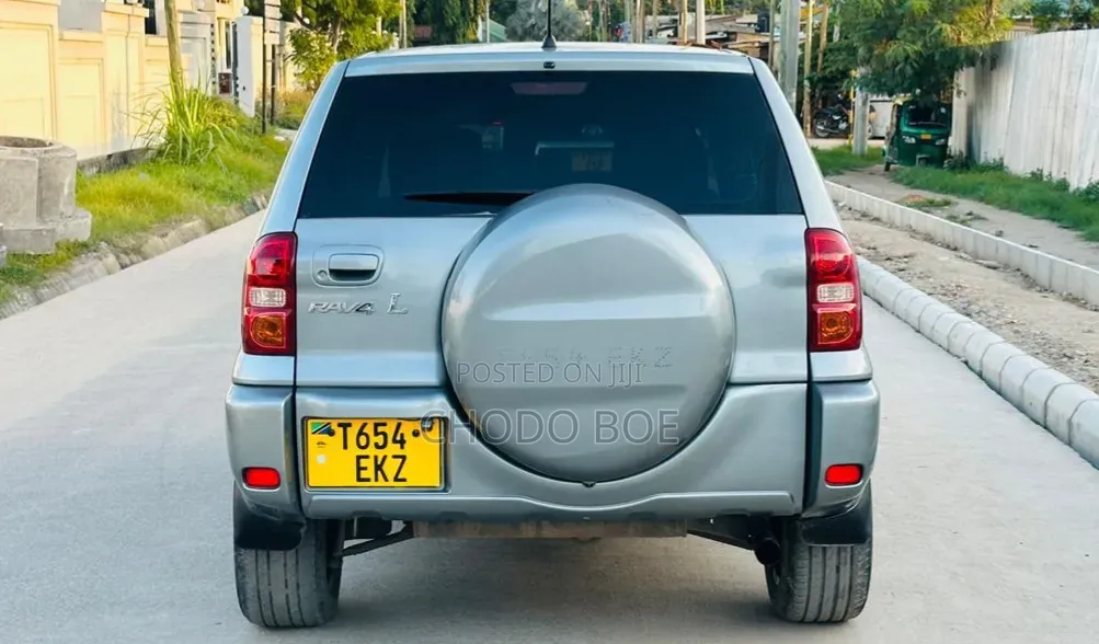 Toyota RAV4 2004 Gray