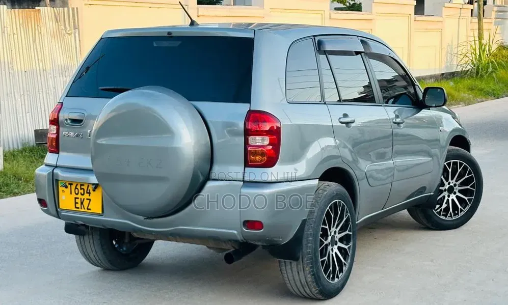 Toyota RAV4 2004 Gray