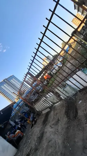 Investment Area at Makumbusho