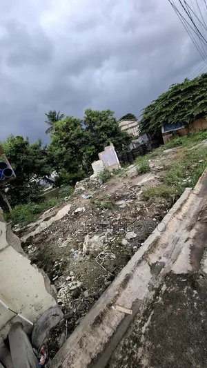 Investment Area at Makumbusho