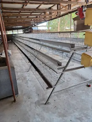 Cage 21pcs Mpya Zimefungwa