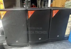 Eck Professional Audio Pa Speaker