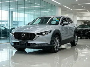 Mazda CX-30 2019 Silver