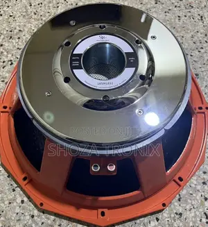 Naked Speaker Driver