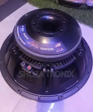 Naked Speaker