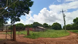 Shamba La Ekari 500 Linauzwa Handeni Tanga