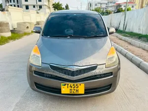 Toyota Ractis 2009 Gray