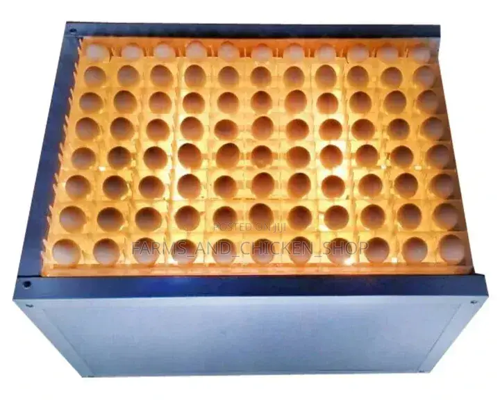 Egg Tester for Incubator