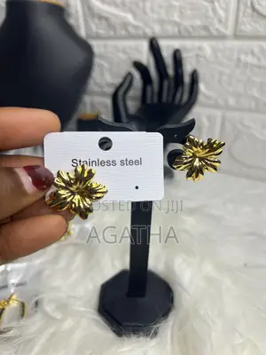 Tarnish Free Earrings