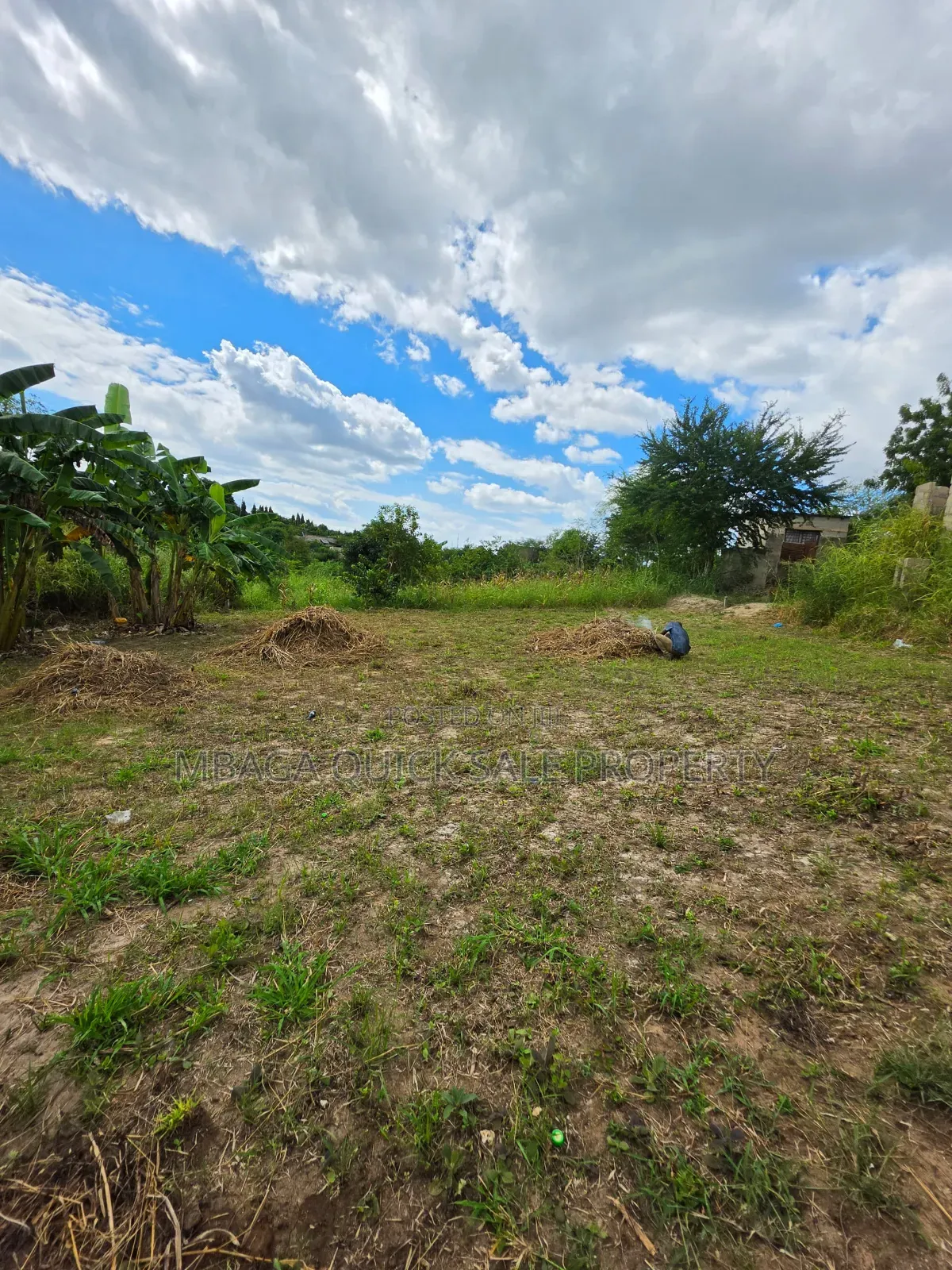 Plot Area SQM 400 for Sale at Madale Mbopo