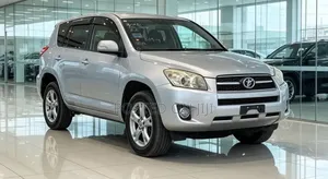 Toyota RAV4 2009 Silver