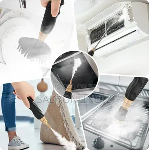 High Pressure Portable Steam Cleaner