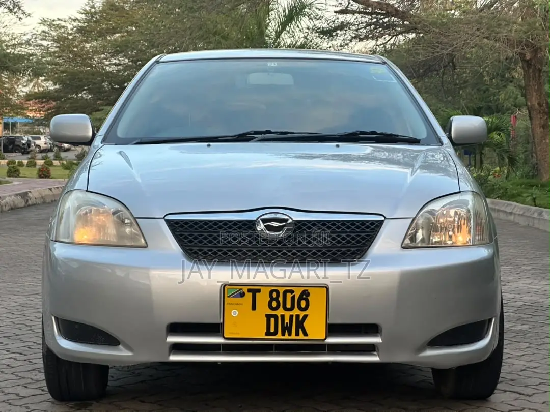 Toyota Corolla RunX 2004 Silver