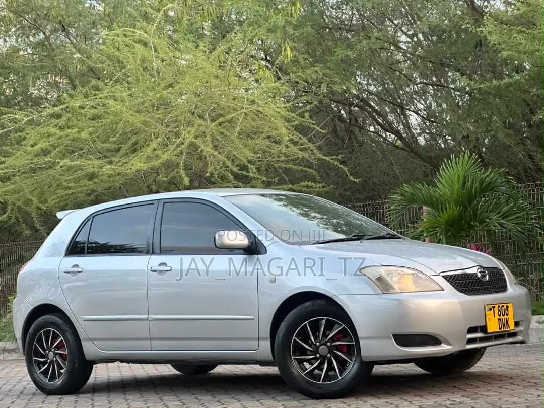Toyota Corolla RunX 2004 Silver