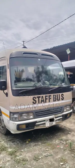 Toyota Coaster 2004 Brown