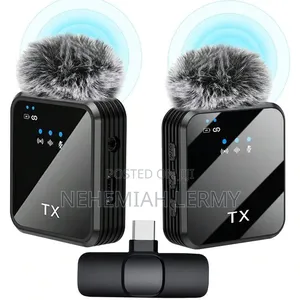 Double Wireless Microphone