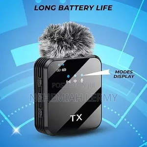Double Wireless Microphone