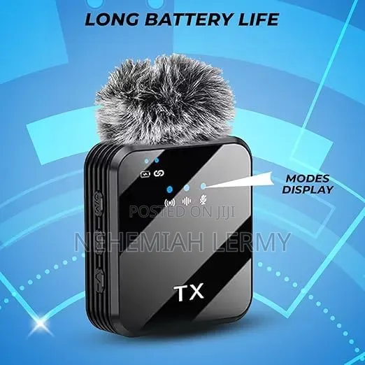 Double Wireless Microphone
