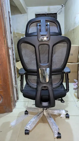 Ergonomic Chairs