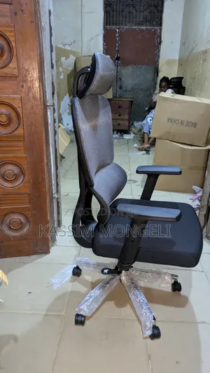 Ergonomic Chairs