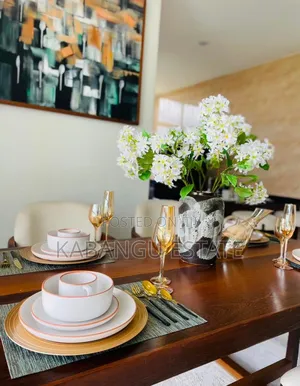 Furnished 3bdrm Apartment in Mikocheni Plaza for rent