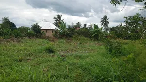 Kiwanja Cha 30x25 Kinauzwa Kiwangwa Bagamoyo Pwani