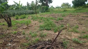 Kiwanja Cha 30x25 Kinauzwa Kiwangwa Bagamoyo Pwani