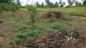 Kiwanja Cha 30x25 Kinauzwa Kiwangwa Bagamoyo Pwani