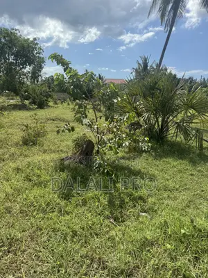 Kiwanja Kinauzwa Kibugumo Kigamboni