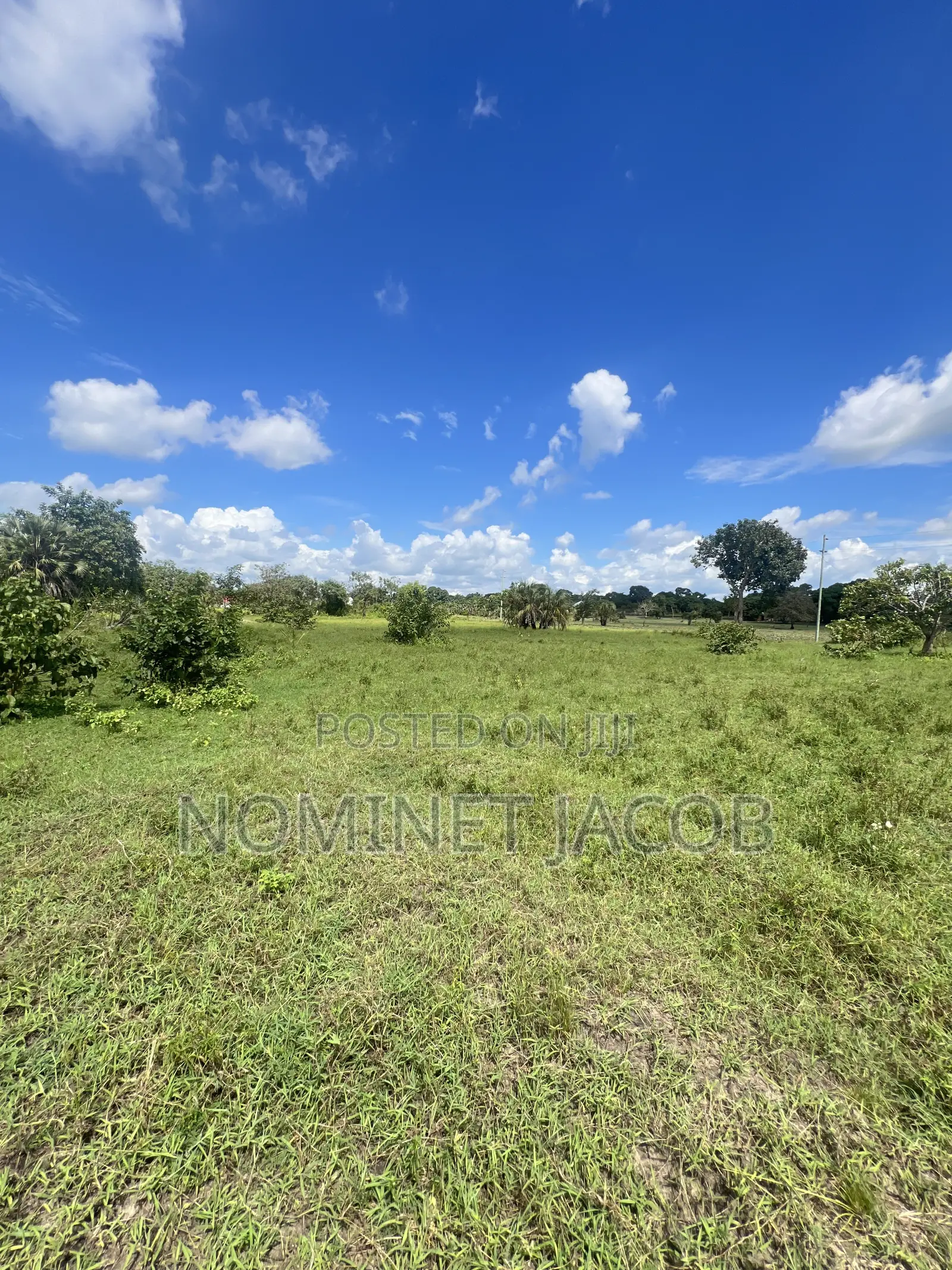 Plot for Sale